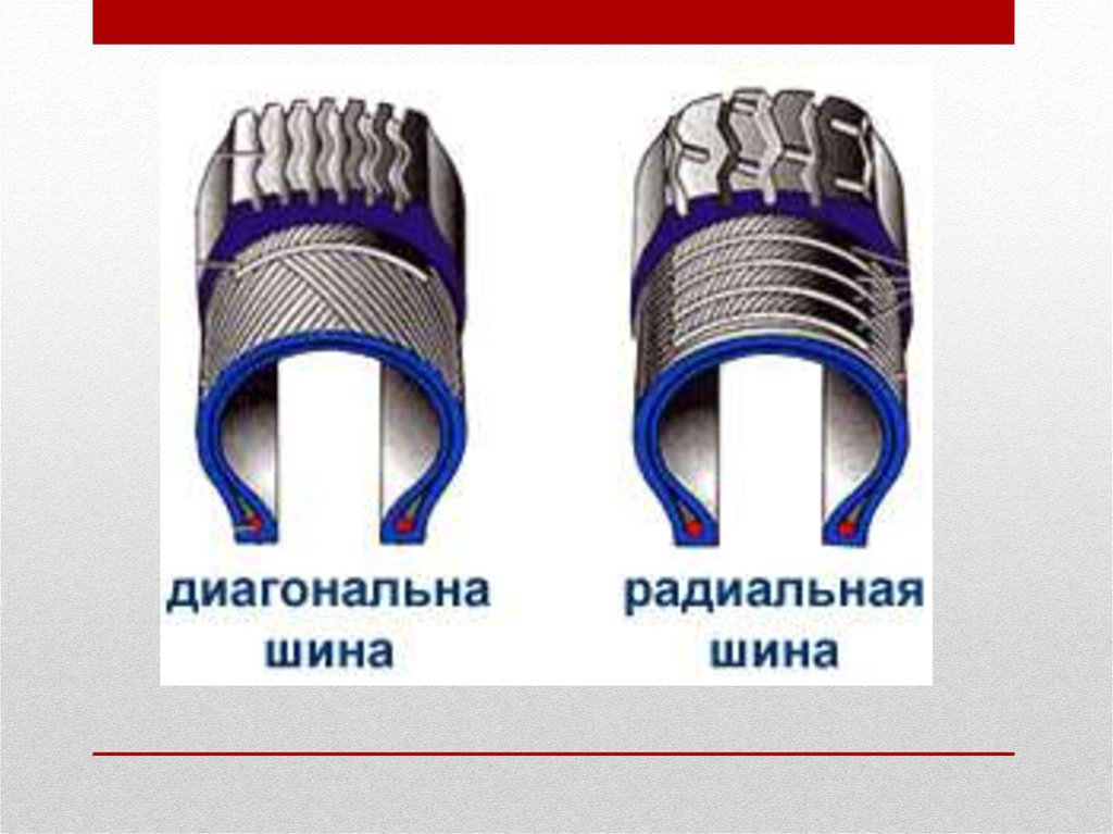 Что такое радиальная шина: Диагональные и радиальные шины