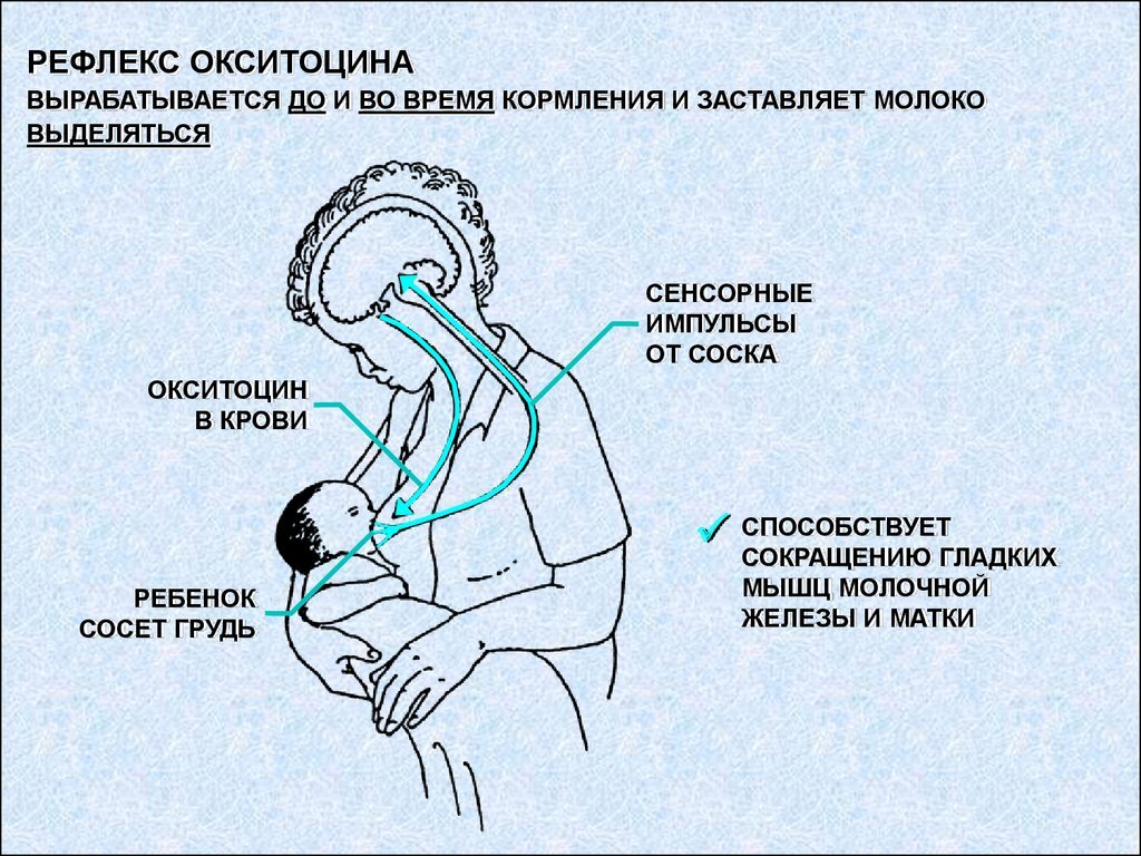 Почему ребенок дергается во время кормления: 11 возможных причин