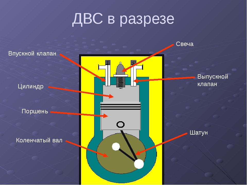 Двс в разрезе картинки