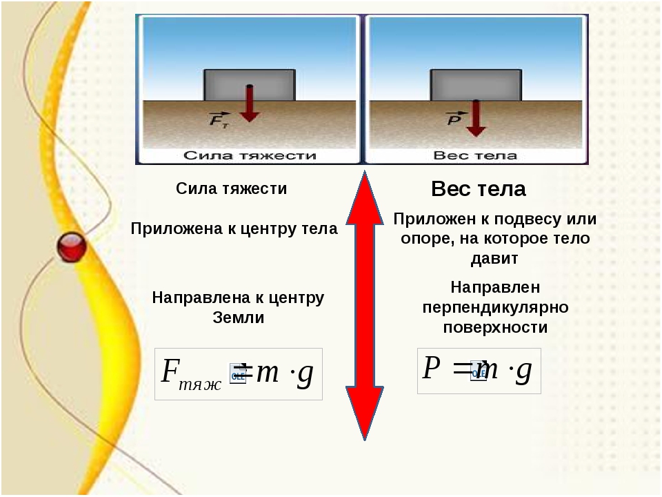 Чем отличается снаряженная масса от полной массы: Что такое снаряженная, полная и максимально допустимая масса ТС