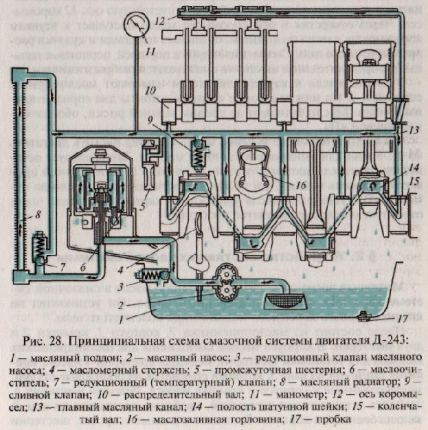 Перечислите основные узлы системы смазки двигателя: Часть 3 — Система смазки двигателя