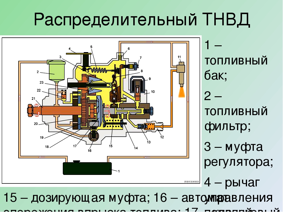 Схема распределительного тнвд