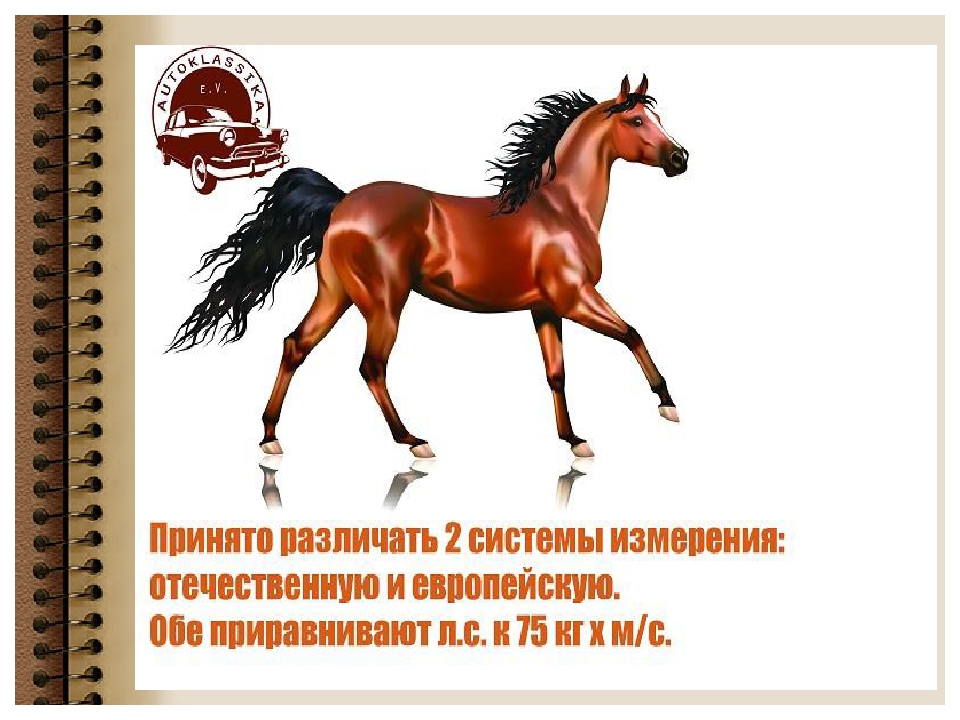 На что влияют лошадиные силы: Вот простое объяснение что такое лошадиная сила и крутящий момент