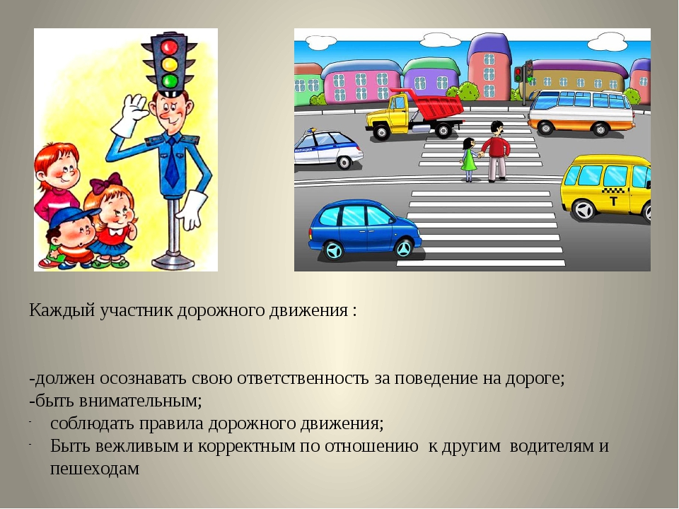 Дорожное движение 8 класс. Участники дорожного движения. Другие участники дорожного движения. Участники дорожного движения перечислить. Участники дорожного движения и требования ПДД.