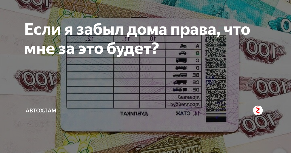 Штраф если забыл документы на машину: Езда на непереоформленной машине - Сайт Губернатора Псковской области