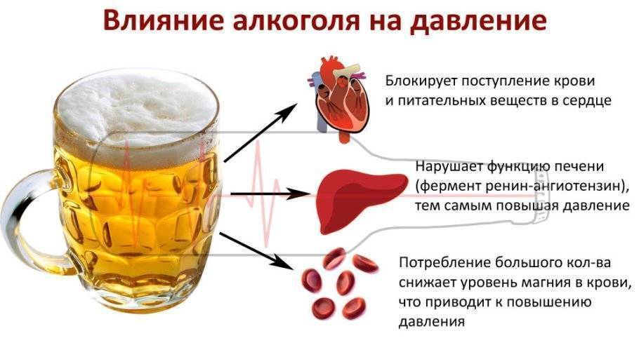 Можно ли пить пиво нулевку за рулем: Можно ли пить безалкогольное пиво за рулем в 2021 году? Через сколько можно?