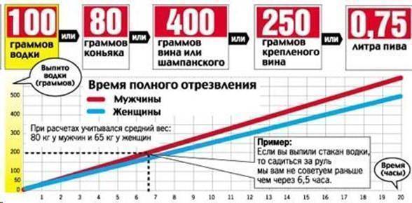 Сколько безалкогольного пива можно выпить за рулем: Можно ли садиться за руль, выпив безалкогольного пива? | ГИБДД | Авто