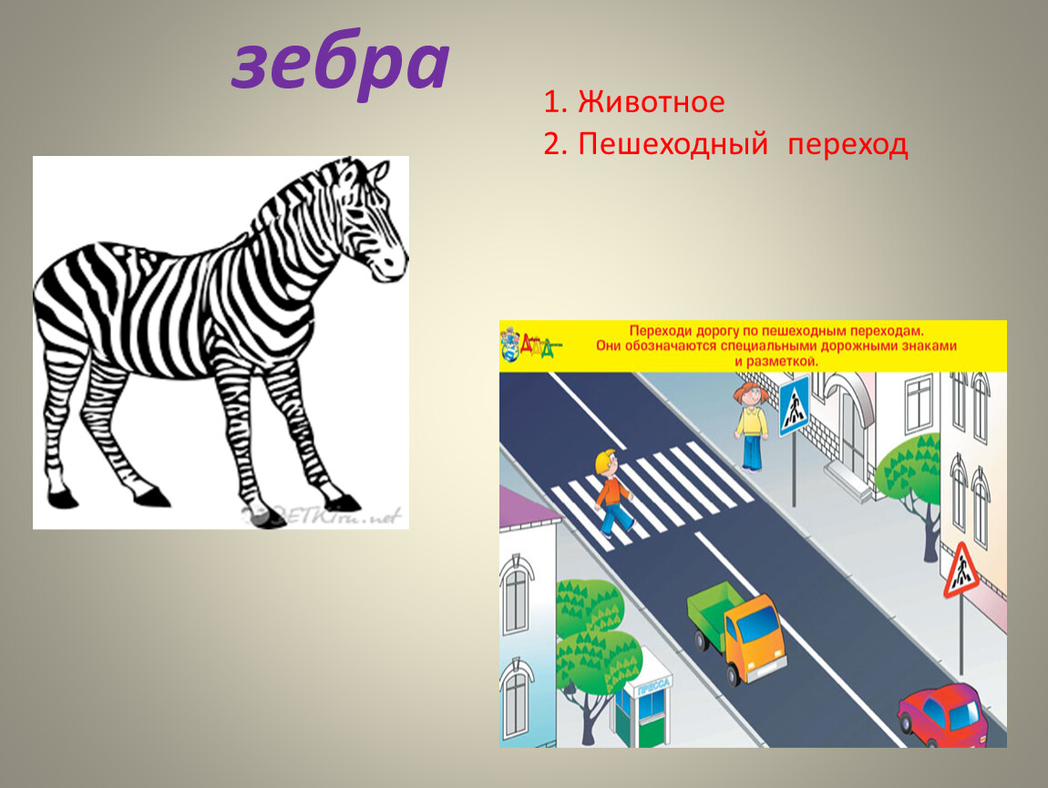 Как называется зебра на дороге: Когда и почему появились пешеходные переходы зебры?