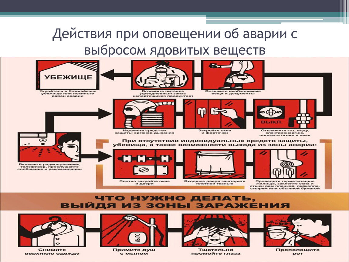 Травмы собак виды после автоаварии: Если собаку сбила машина. Интервью с хирургом