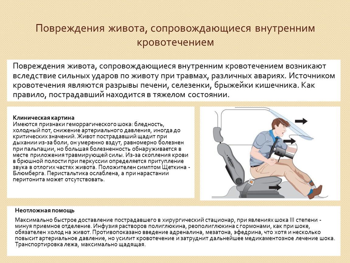 Травмы собак виды после автоаварии: Если собаку сбила машина. Интервью с хирургом