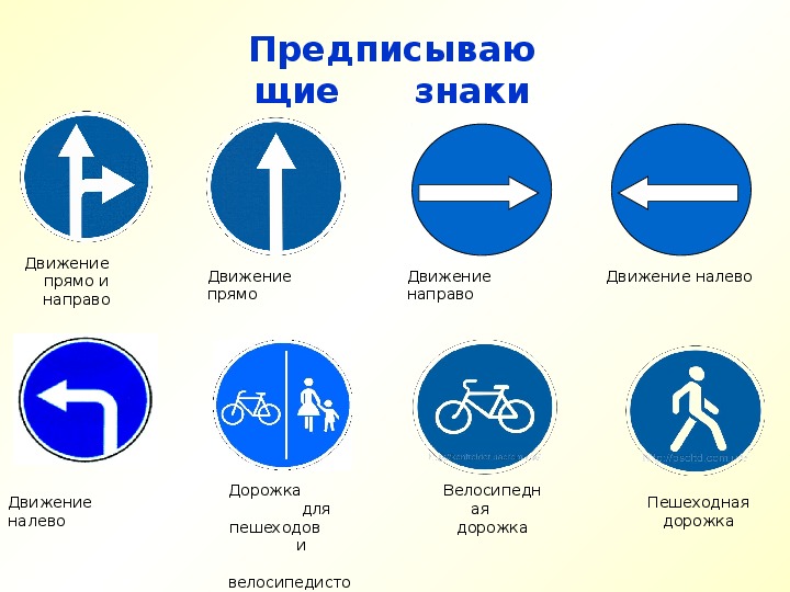 Действие знака движение прямо распространяется: зона действия, что разрешает и запрещает :: Autonews