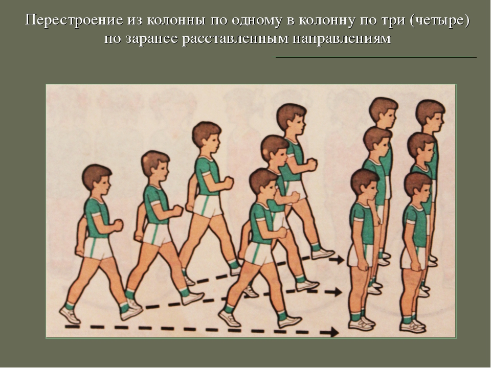 Подравняться в строю. Построение в колонну. Построение в колонну по одному. Перестроение в колонну. Построения и перестроения в физкультуре.