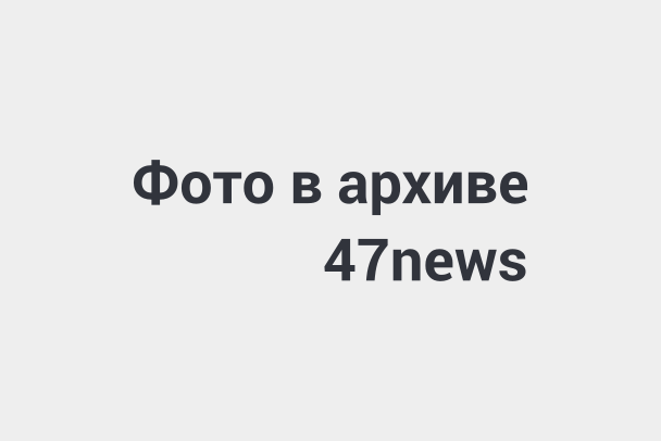 Если сбил лося что будет: Штраф за сбитого лося на дороге в 2021 году