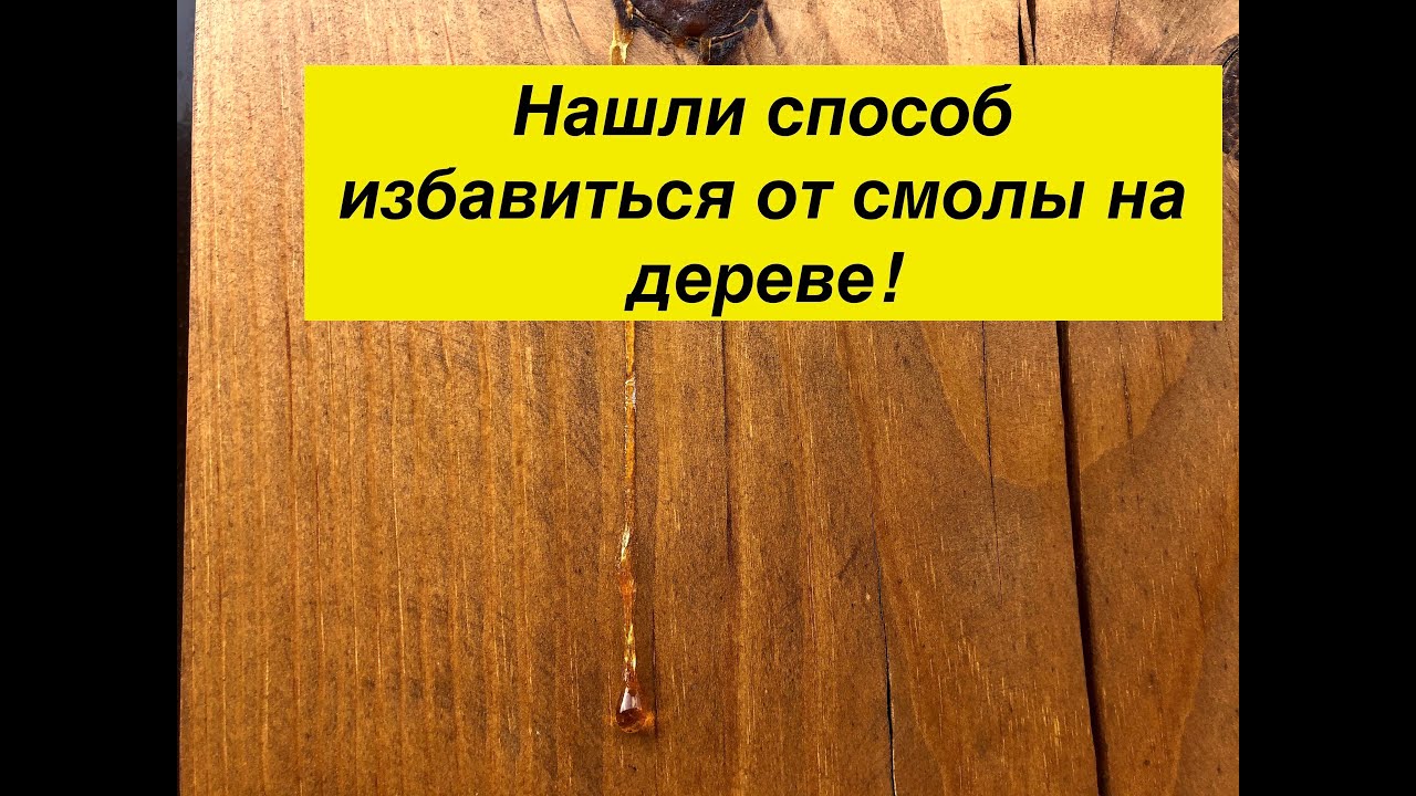 Чем отмыть сосновую смолу: Как убрать смолу с одежды: 10 работающих способов