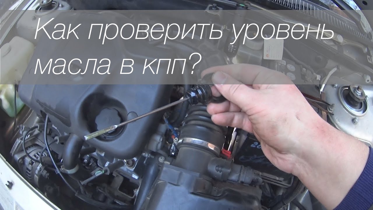 Как проверить уровень масла в коробке: Проверка уровня масла в АКПП: пошаговая инструкция