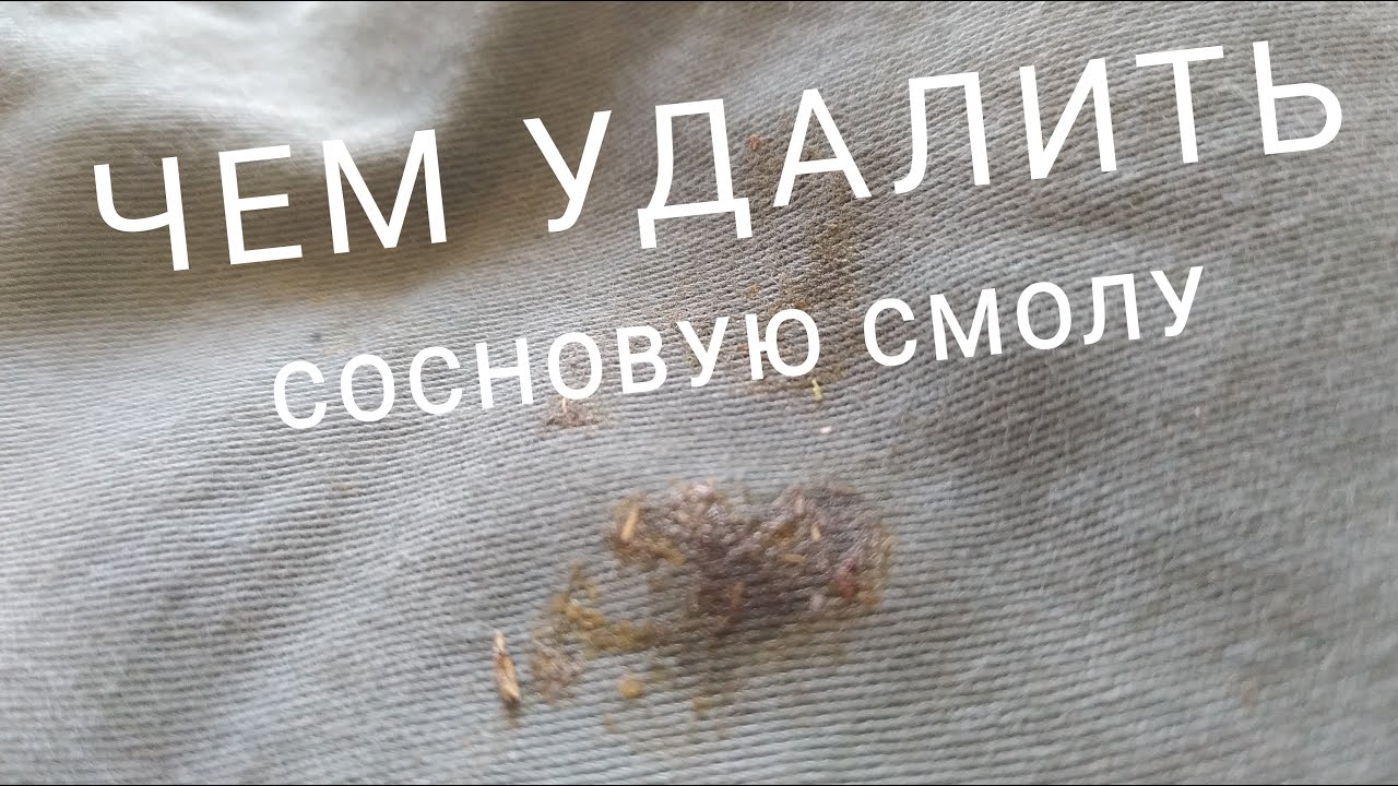 Чем оттереть смолу от сосны: Чем отмыть смолу сосны?