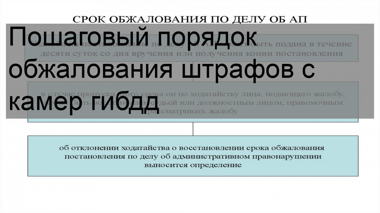 Порядок обжалования штрафа гибдд: Как обжаловать выписанный инспектором ГИБДД штраф - ГБУ г. Москвы ЦСО Троицкий