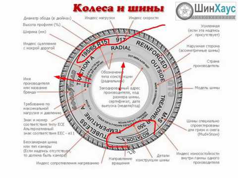 Что значит радиальная шина: Диагональные и радиальные шины