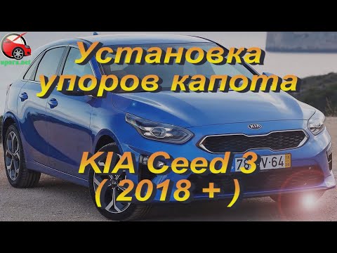 Как прокачать газовые амортизаторы перед установкой видео: Как прокачать газовые амортизаторы перед установкой на машину