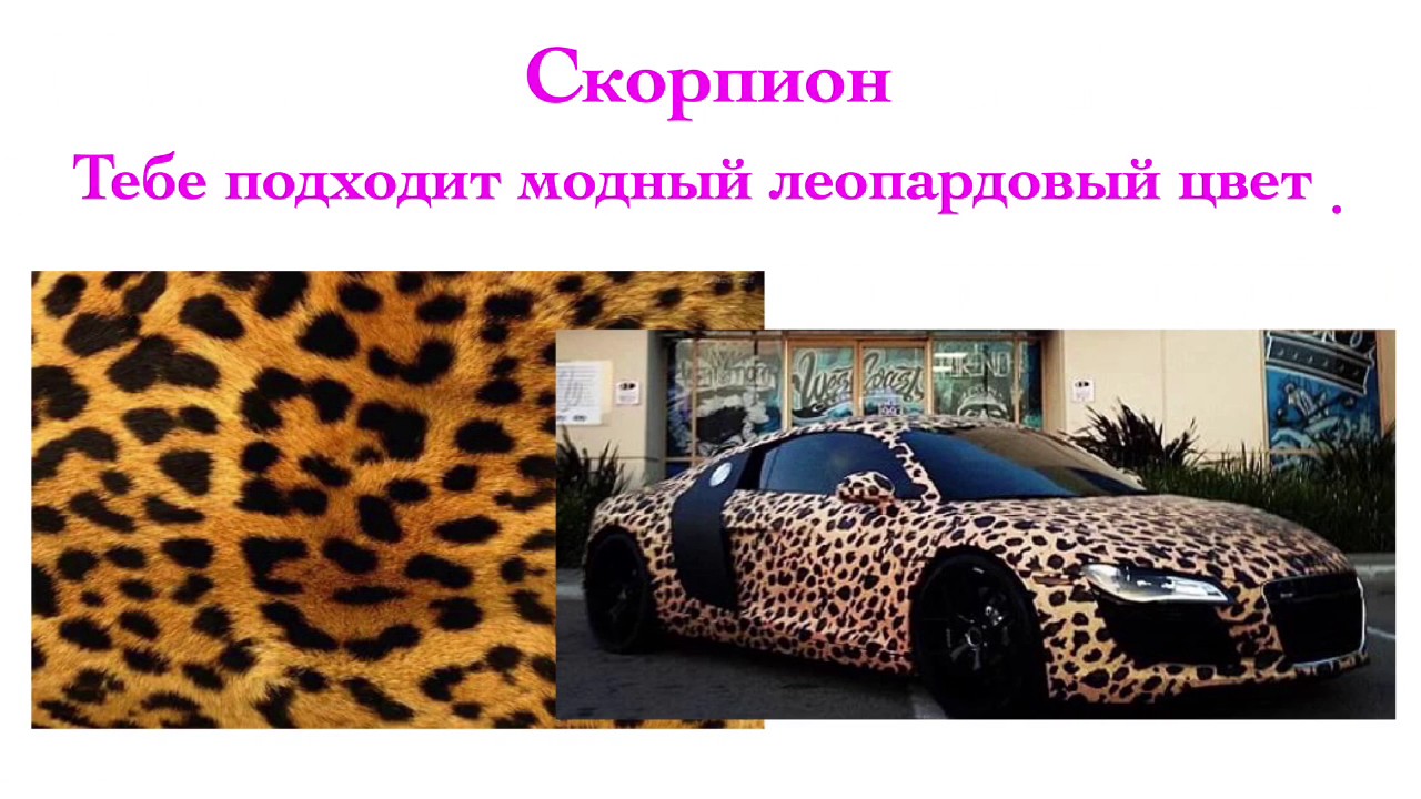 Авто по гороскопу: Какое вы авто по гороскопу – 12 вариантов для всех знаков зодиака - Events