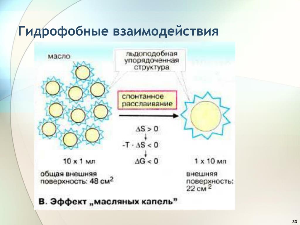 Гидрофобными: Гидрофобность - Что такое Гидрофобность?