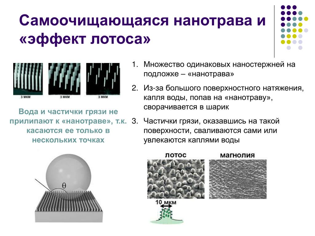 Гидрофобные материалы и покрытия: Репозиторий БГУИР: Invalid Identifier