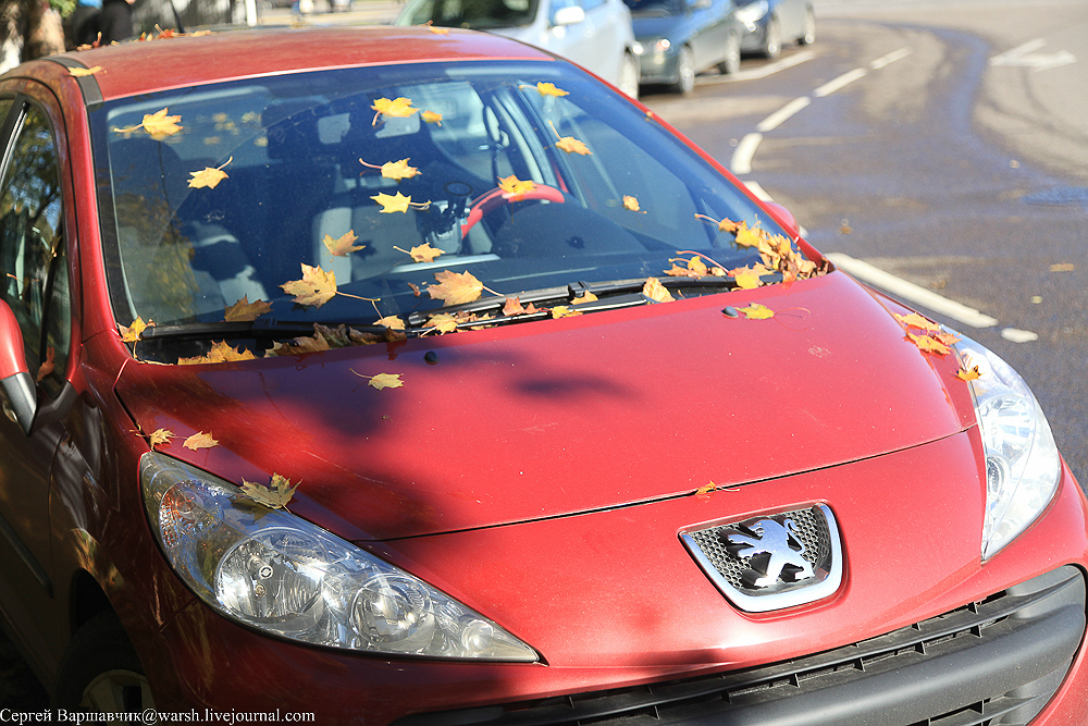 Сколько прогревать машину осенью: Сколько нужно прогревать машину осенью