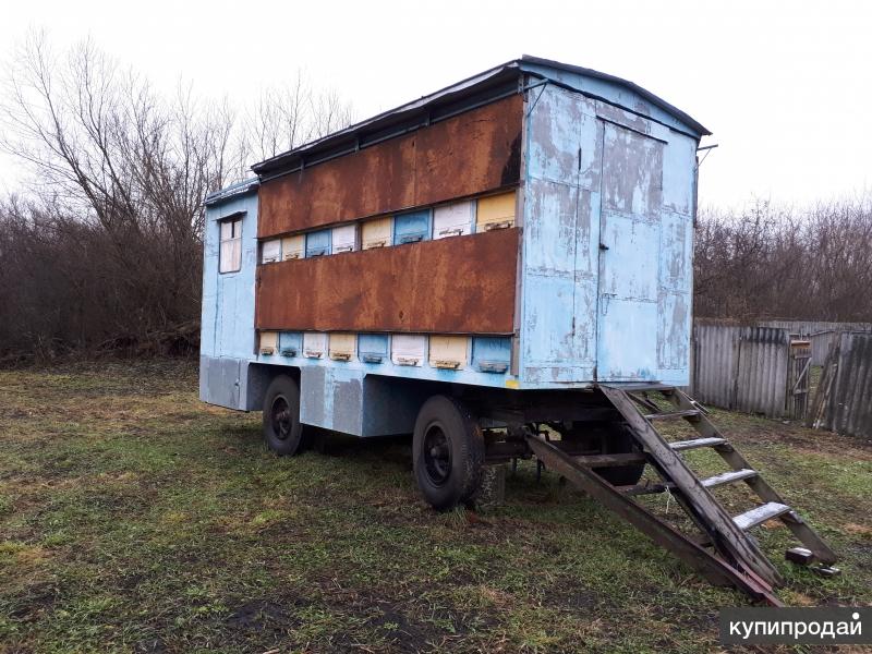 Прицепы Для Легковых Автомобилей Пчеловодные Купить