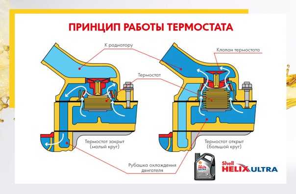 Как работает автомобильный термостат: принцип работы и способы проверки
