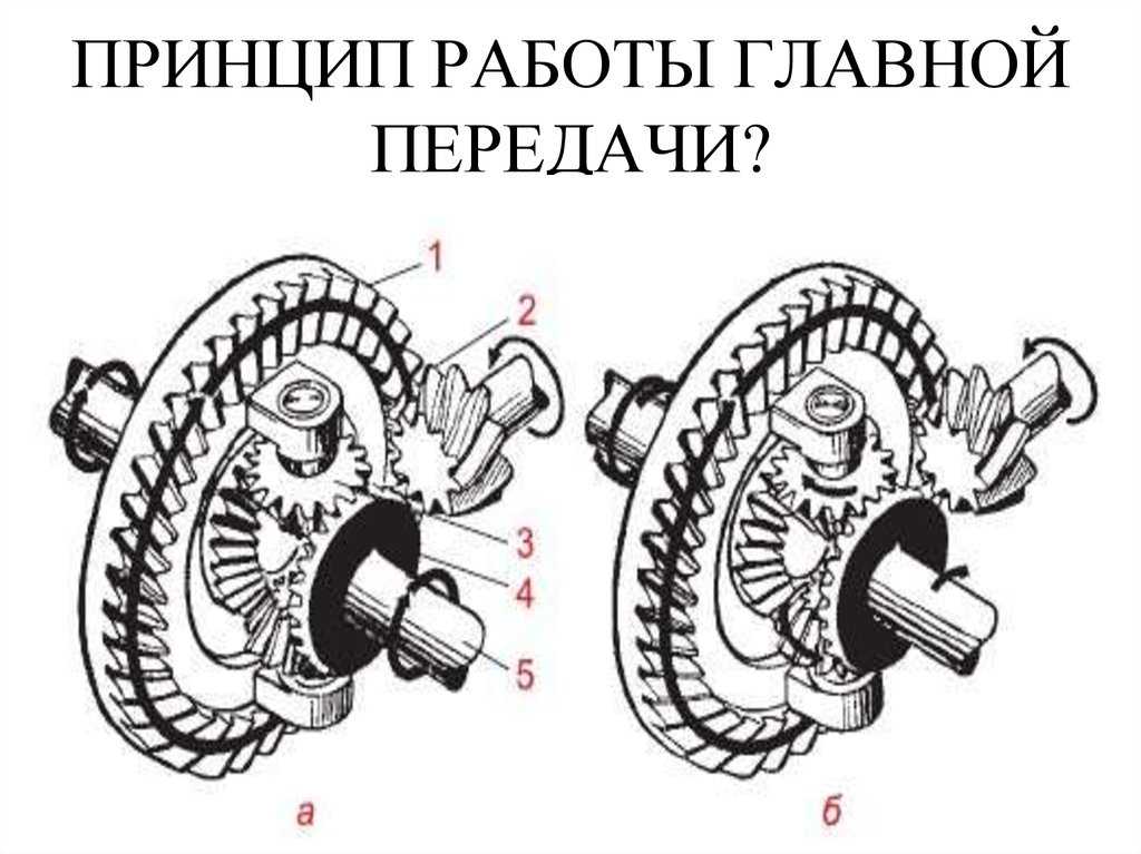 Дифференциал устройство: устройство, виды и принцип работы