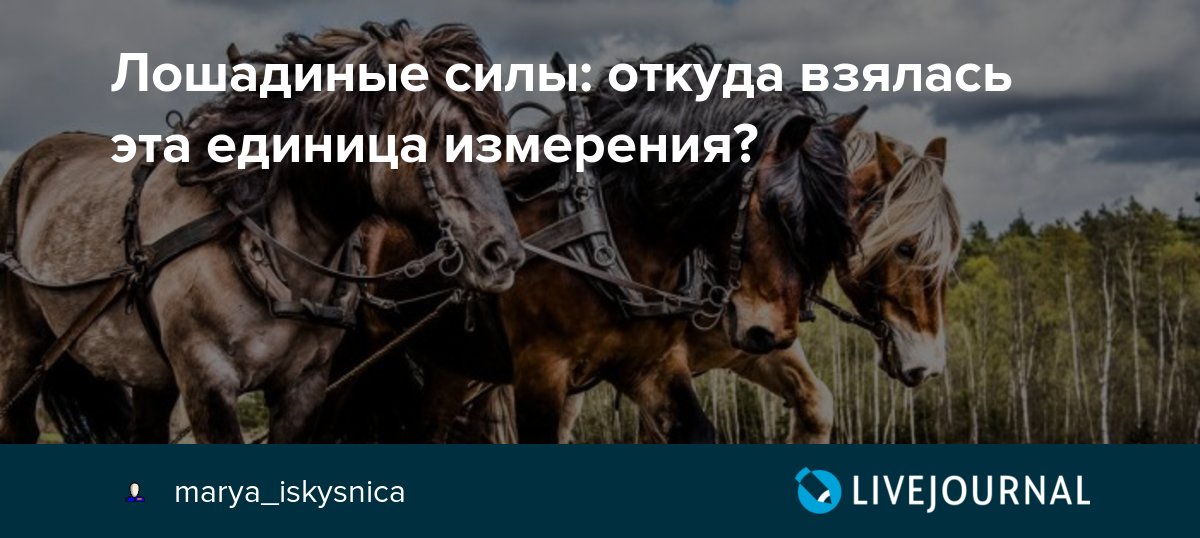 Почему мощность измеряется в лошадиных силах: Почему мощность двигателя измеряется в лошадиных силах?