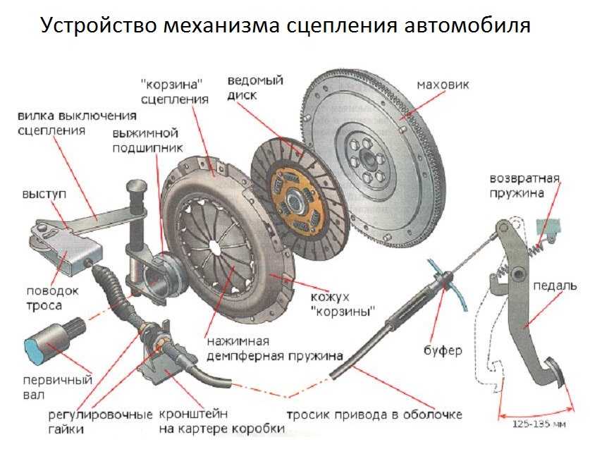 Сухое и мокрое сцепление отличия: Двойное сцепление