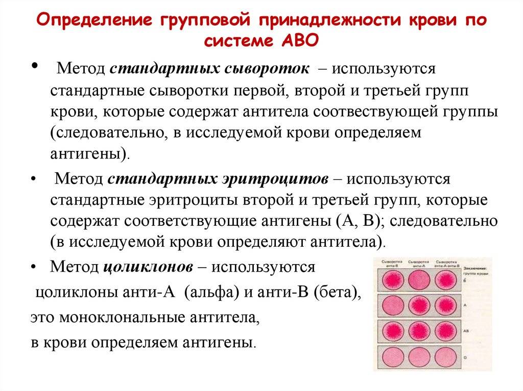 Метод хальбгевакса: УТС по каско – что это такое и как гарантированно получить компенсацию