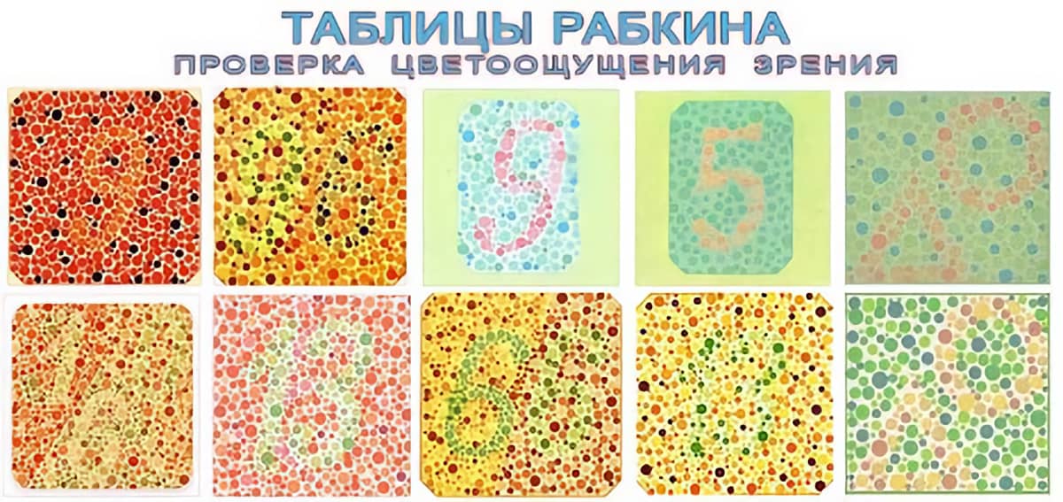 Какое зрение нужно для получения прав: Какое должно быть зрение, чтобы получить водительские права категории В
