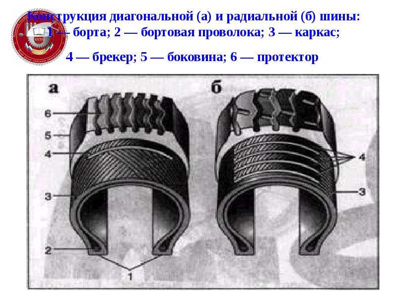 Что значит радиальная шина: Диагональные и радиальные шины