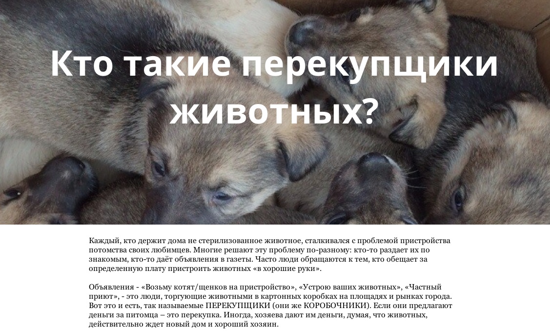Как стать перекупщиком: Как стать перекупом автомобилей с нуля и зарабатывать от 100 тысяч рублей в месяц