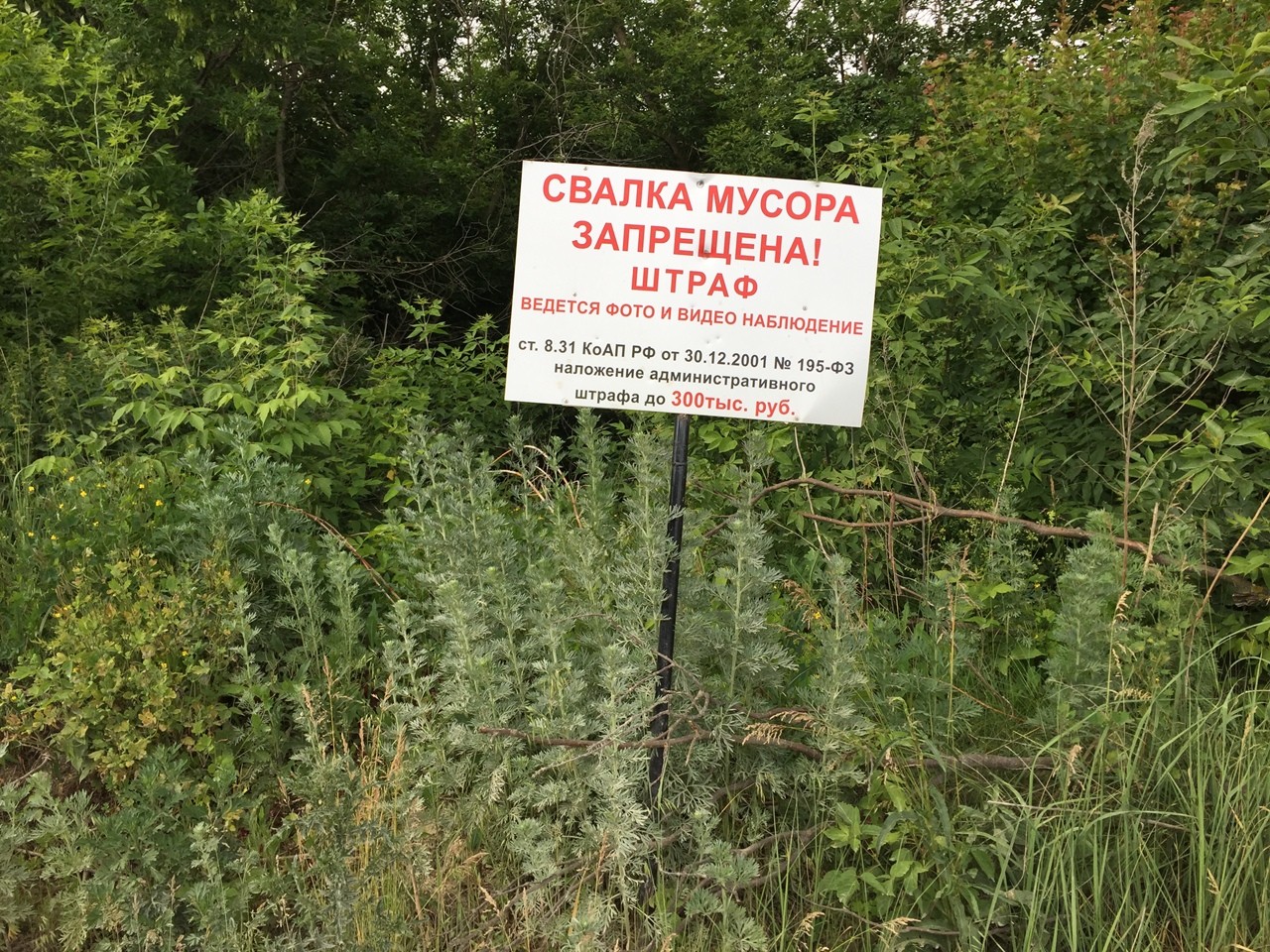Штраф за выброс мусора: Карта сайта