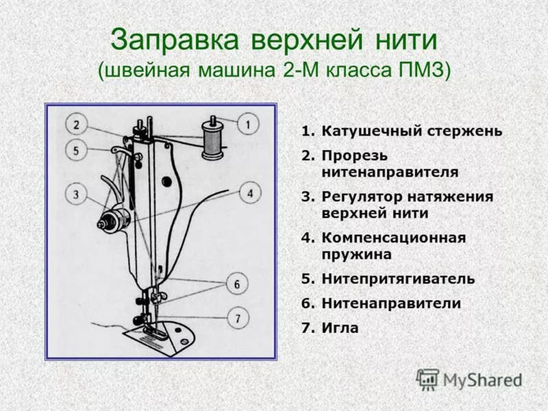 Как правильно заправлять: сотрудник АЗС рассказал, почему лучше заливать по 10 литров