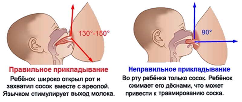 Почему ребенок дергается во время кормления: 11 возможных причин