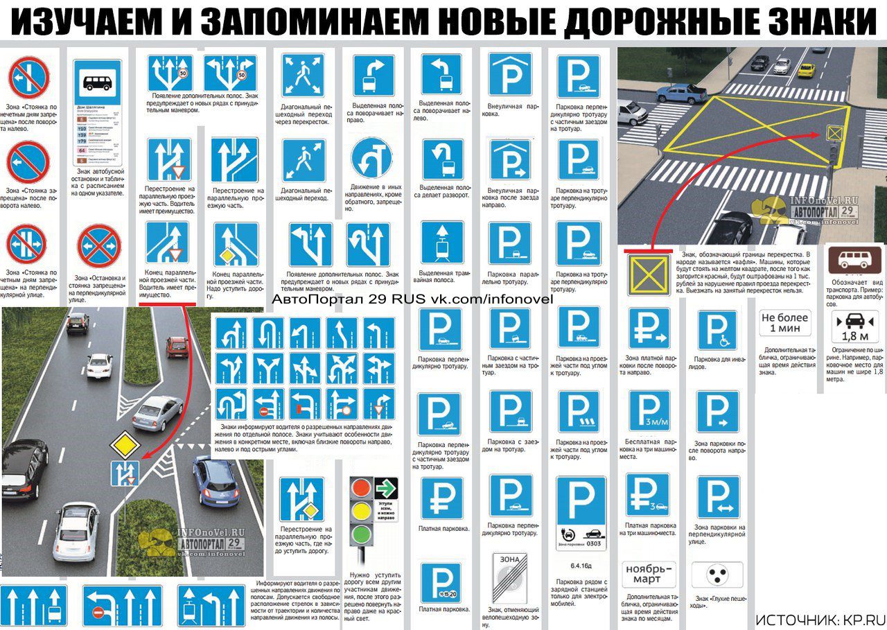 Как быстрее выучить билеты пдд: все хитрости 2021 — Авто-Питер