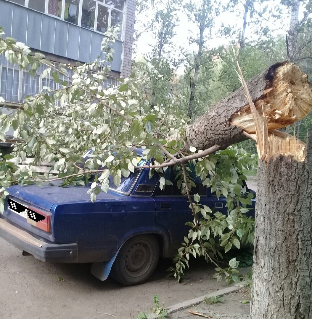 Упавшее дерево на автомобиль