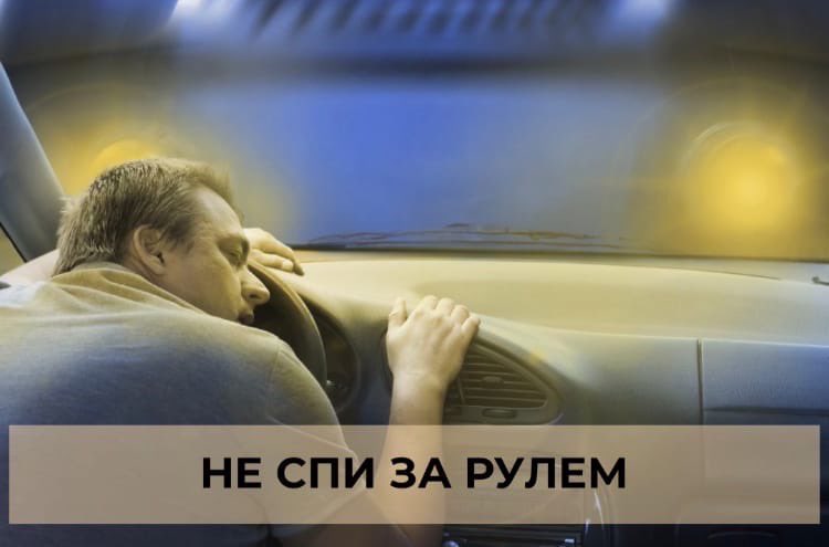 Чтобы не спать за рулем: Что делают немцы, чтобы не уснуть за рулем | Культура и стиль жизни в Германии и Европе | DW