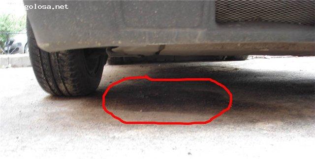 Капает масло из под машины: Подтекает масло внизу двигателя – что делать и куда смотреть?