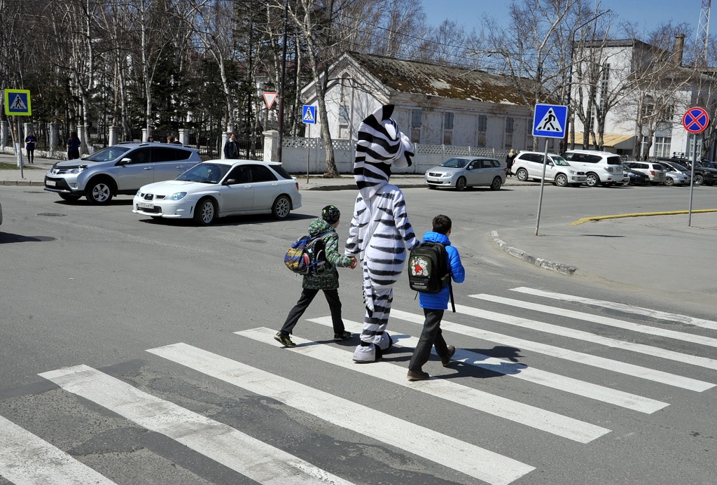 Знак зебра на дороге: D0 b7 d0 b5 d0 b1 d1 80 d0 b0 d0 b4 d0 be d1 80 d0 be d0 b3 d0 b0 картинки, стоковые фото D0 b7 d0 b5 d0 b1 d1 80 d0 b0 d0 b4 d0 be d1 80 d0 be d0 b3 d0 b0