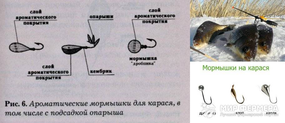 Зимняя ловля карася: Ловля карася зимой - важные моменты, поиск мест, тактика рыбалки