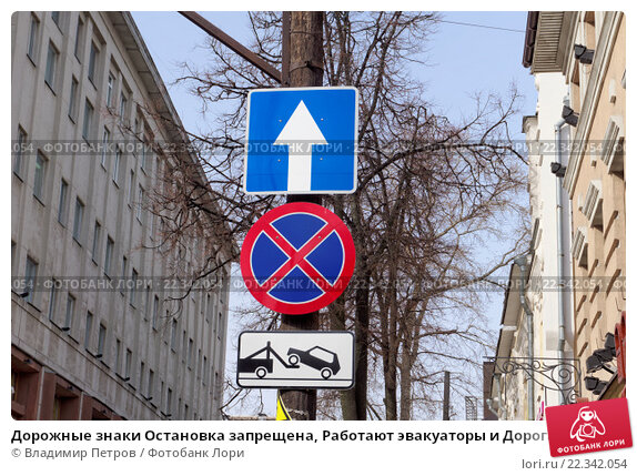 Знак остановка запрещена на односторонней дороге: Стоянка на дороге с односторонним движением