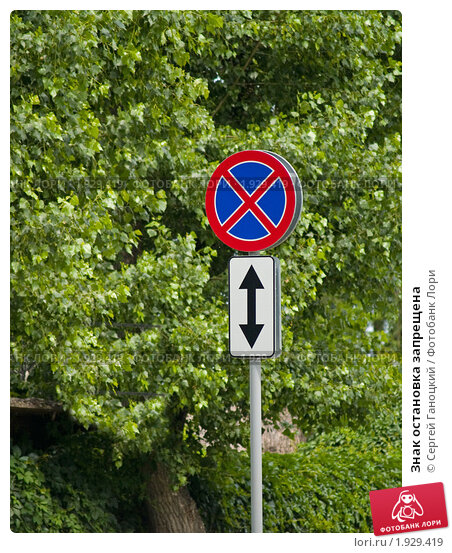 Остановка запрещена до знака или после: Какова зона действия знака "Остановка и стоянка запрещена"?