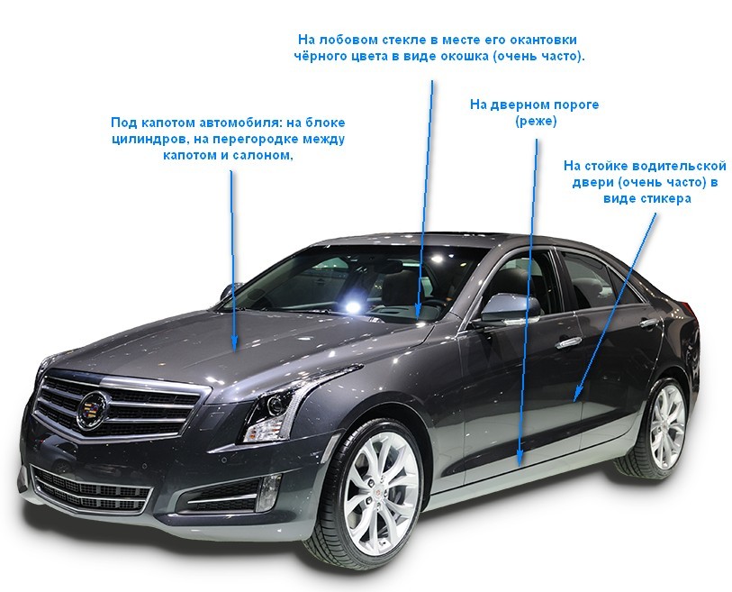 Как проверить комплектацию автомобиля: Проверка комплектации автомобиля по VIN коду или гос номеру — Автокод