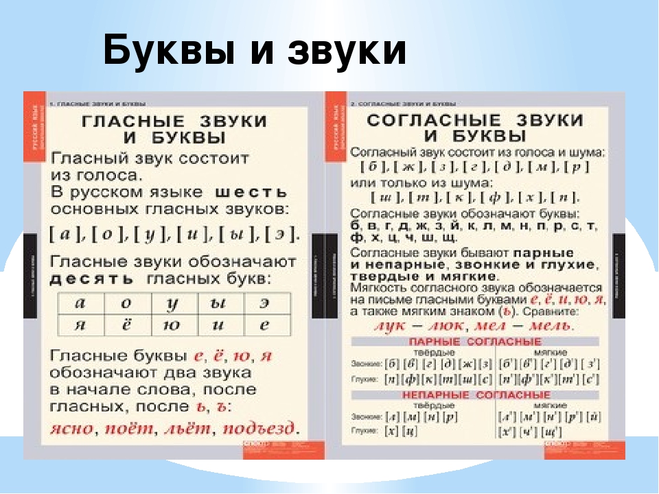 Буква ш нужна или нет: Нужен ли знак "Шипы" зимой 2021-2022?