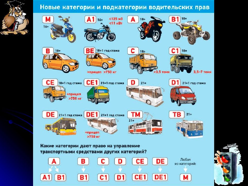 Категория e водительские права: Обучение на категорию «E» («BE», «CE») в Туле